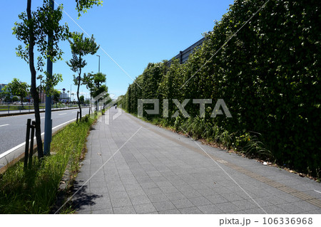 歩道と壁面緑化 106336968