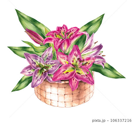 Set of watercolor lilies in a basket 106337216