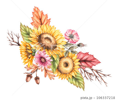Watercolor autumn composition with autumn sunflower flowers, chrysanthemums, wilted leaves isolated on white background 106337218