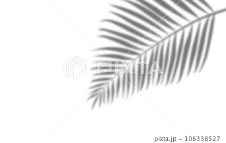 透過背景で使いやすい葉っぱの影 106338527
