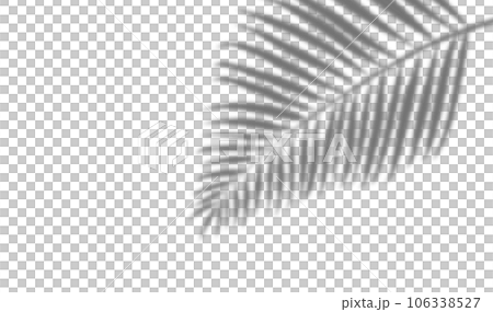透過背景で使いやすい葉っぱの影 106338527