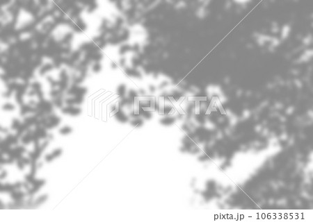 透過背景で使いやすい葉っぱの影 透過背景で使いやすい葉っぱの影 106338531