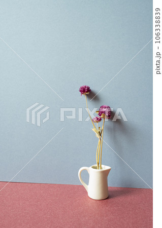 Home interior. White vase of purple dry flower on red table. gray wall background Home interior. White vase of purple dry flower on red table. gray wall background 106338839