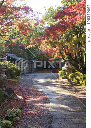 紅葉時の友泉亭公園 106339066