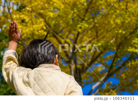 紅葉と男児 106340311