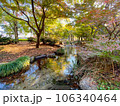 紅葉に包まれた小川 106340464
