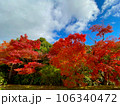 紅葉と空 106340472
