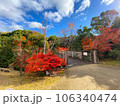 紅葉と散歩道 106340474