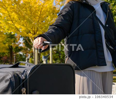 Image photo 106340534