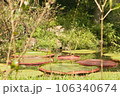 大きな池のある庭園 106340674