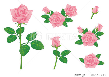 ピンクのバラの花　イラストセット　アイコンセット 106340740
