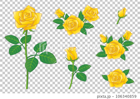 Yellow rose flower illustration set icon set Yellow rose flower illustration set icon set 106340859