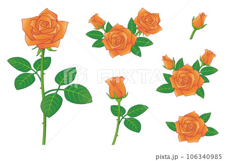 バラの花 オレンジ色 イラストセット アイコンセット バラの花 オレンジ色 イラストセット アイコンセット 106340985