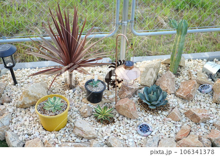 アメリカンハウスのドライガーデン 106341378