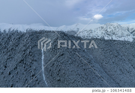 Aerial view of beautiful snowy forest in Tibet,China 106341488