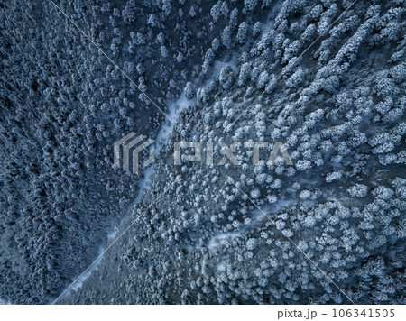 Aerial view of beautiful snowy forest in Tibet,China 106341505