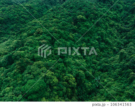 Aerial view of beautiful tropical forest mountain landscape in summer Aerial view of beautiful tropical forest mountain landscape in summer 106341563