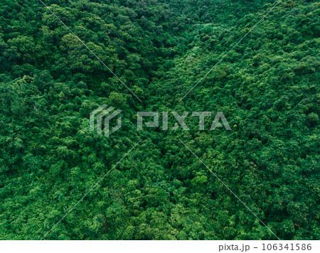 Aerial view of beautiful tropical forest mountain landscape in summer 106341586