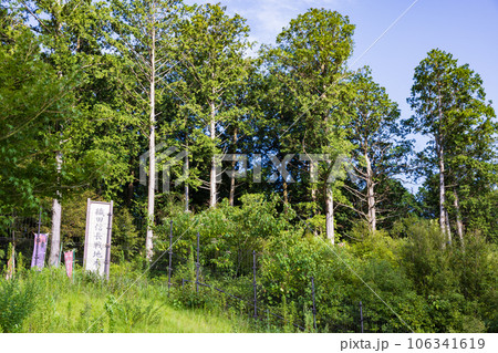 茶臼山織田信長戦地本陣 茶臼山織田信長戦地本陣 106341619