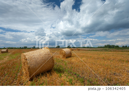 Hay bales in the field and clouds on the sky, summer view 106342405