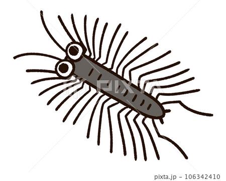 かわいいゲジゲジのキャラクター 106342410