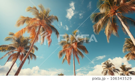 Blue sky and palm trees view from below tropical beach and summer background. Blue sky and palm trees view from below tropical beach and summer background. 106343529