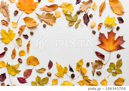 Autumn composition made of dried leaves, cones and acorns on table. Flat lay, top view, copy space 106343708
