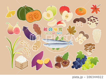 秋の味覚　イラストセット 　白いふち付き 106344022