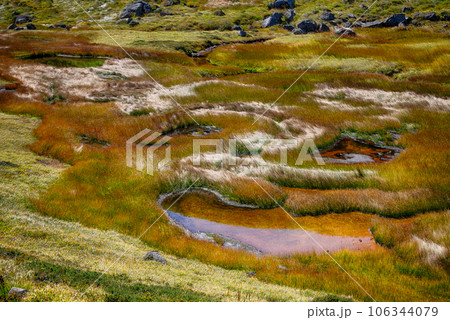 9月初秋のHDRトーンマッピング立山室堂平秋の火口湖に点在する池と黄葉 9月初秋のHDRトーンマッピング立山室堂平秋の火口湖に点在する池と黄葉 106344079