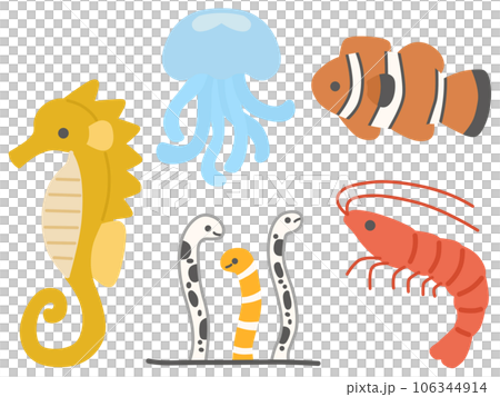 海の生き物セット 海の生き物セット 106344914