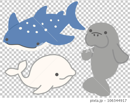 海の生き物セット 106344917