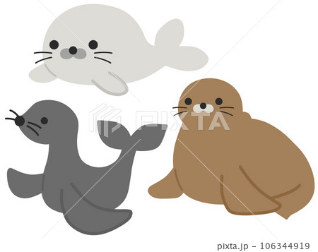 海の生き物セット 海の生き物セット 106344919