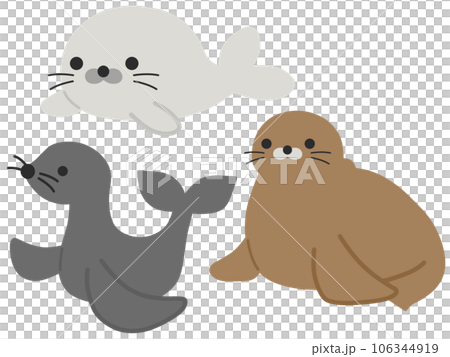 海の生き物セット 海の生き物セット 106344919