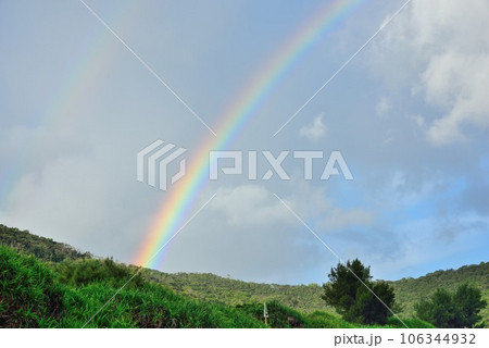 奄美大島　雨上がりの青空と海に架かる虹 106344932