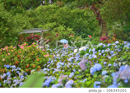 よへなあじさい園 106345201