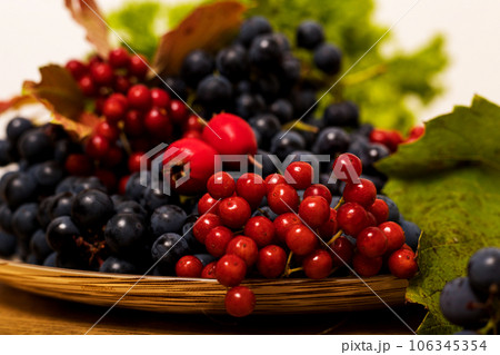 Autumn composition of blue grapes and viburnum on a plate Autumn composition of blue grapes and viburnum on a plate 106345354