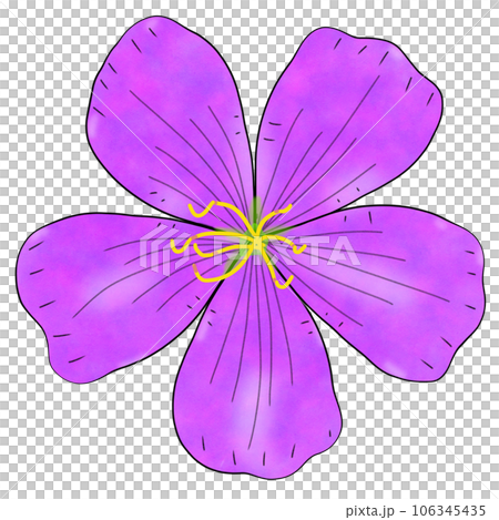 purple flowers with leaves isolated on white purple flowers with leaves isolated on white 106345435