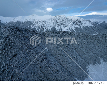 Aerial view of beautiful snowy forest in Tibet,China 106345745