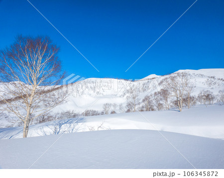 新雪に覆われた山野 (北海道、ニセコ五色温泉周辺) 106345872