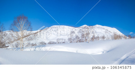 [パノラマ] 新雪に覆われた山野 (北海道、ニセコ五色温泉周辺) 106345875
