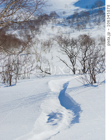 雪原に残った埋もれかけの滑走跡 (北海道、ニセコアンヌプリ北斜面麓) 106345878