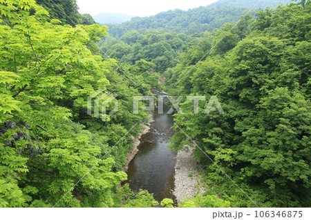 赤石川の流れ　白神ライン赤石大橋より 106346875