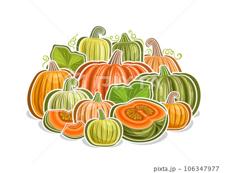 Vector logo for Pumpkins Vector logo for Pumpkins 106347977