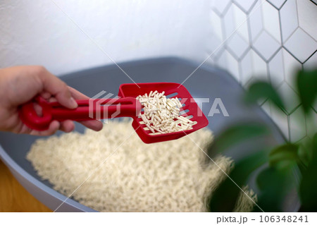 A womans hand with a red spatula with a bunch of granules of light light natural cat litter, 106348241