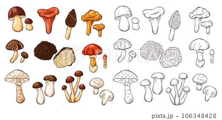 Edible mushrooms collection in line art and cartoon style. Hand drawn food drawings. Forest plants sketches. Perfect for recipe, menu, label, icon, packaging. Vector illustration isolated on a white Edible mushrooms collection in line art and cartoon style. Hand drawn food drawings. Forest plants sketches. Perfect for recipe, menu, label, icon, packaging. Vector illustration isolated on a white 106348428