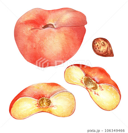 Chinese flat fig peach whole and half watercolor illustration isolated on white. Watercolor painted pink fruits sliced drawing. Food illustration hand drawn, design element for package, label 106349466