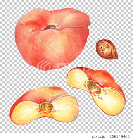 Chinese flat fig peach whole and half watercolor illustration isolated on white. Watercolor painted pink fruits sliced drawing. Food illustration hand drawn, design element for package, label 106349466