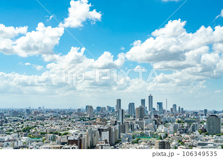 【東京都】高層ビルから望む都市風景 106349535