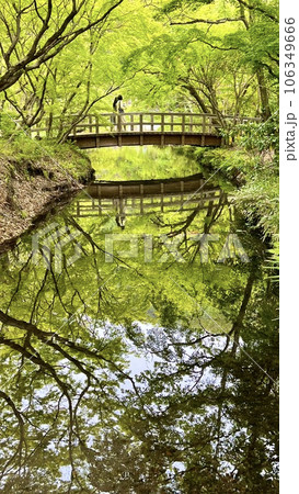 金鱗湖のほとり 106349666