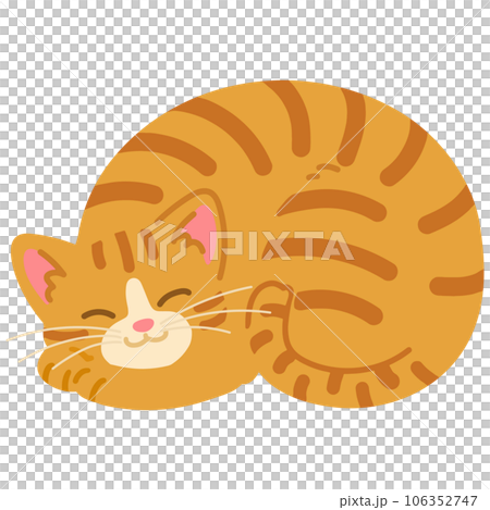 一隻簡單可愛的棕色虎斑貓微笑著蜷縮著睡覺的插圖沒有主線 106352747